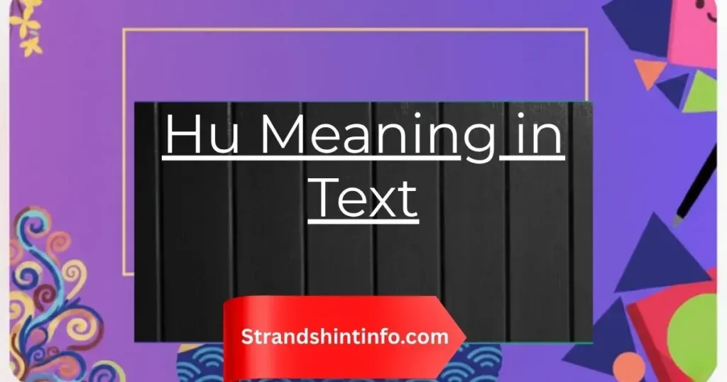 Hu Meaning in Text: A Complete Guide to the Viral Slang Term
