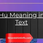 Hu Meaning in Text: A Complete Guide to the Viral Slang Term