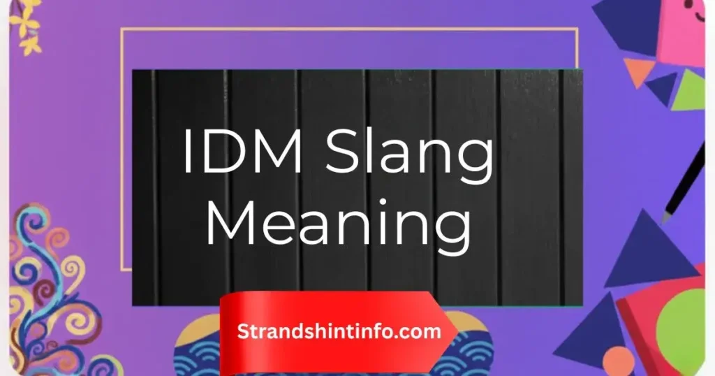 IDM Slang Meaning: Definition, Examples, and When to Use It