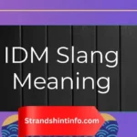 IDM Slang Meaning: Definition, Examples, and When to Use It