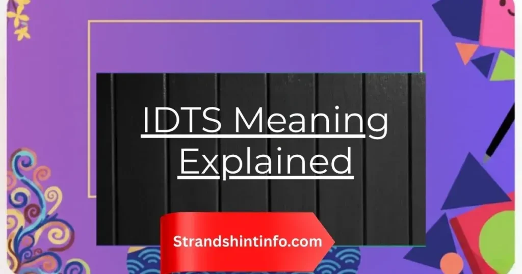 IDTS Meaning Explained: What It Really Means and How to Use It