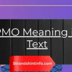 PMO Meaning in Text – A Complete Expert Guide for 2026