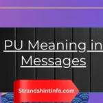 PU Meaning in Messages: What It Really Means (2026 Guide)