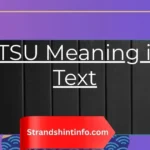 STSU Meaning in Text: Full Guide to All Meanings, Usage & Examples