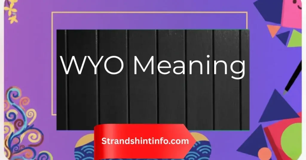 WYO Meaning Explained – How to Use It in Texts & Chats (2026)