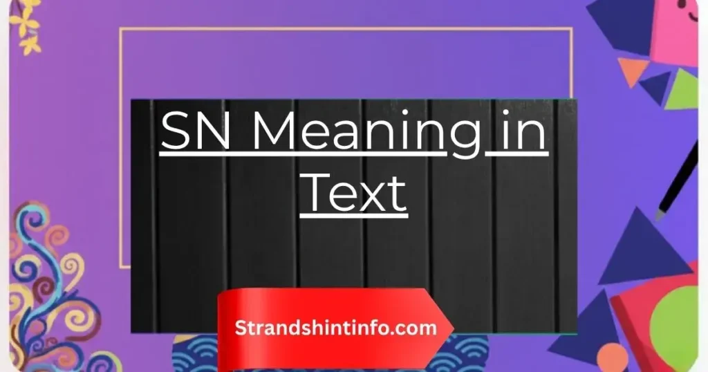 SN Meaning in Text: Every Definition You Need to Know in 2025