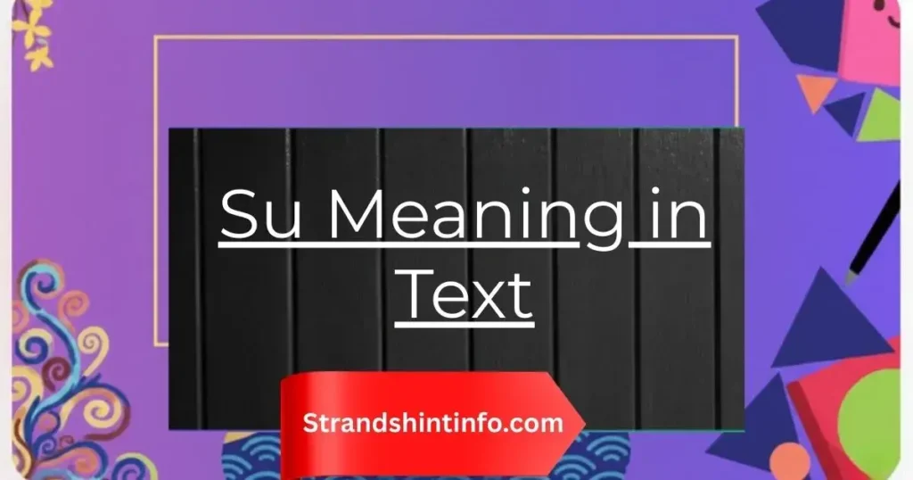 Su Meaning in Text: Every Definition You Need to Know (2026 Guide)