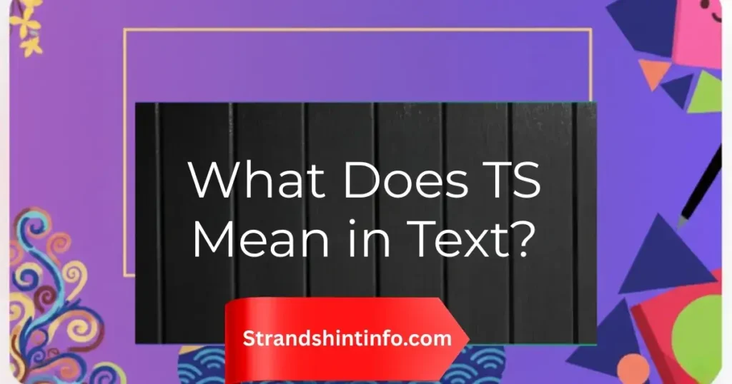 What Does TS Mean in Text?